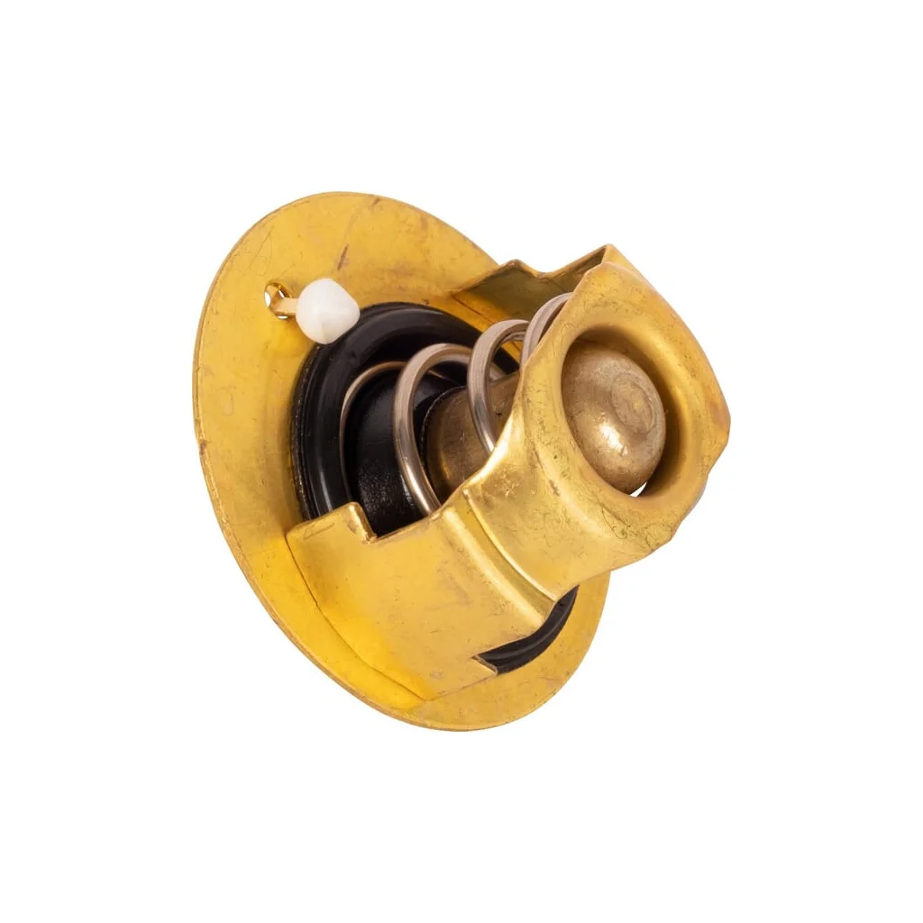 Termostat 090078621