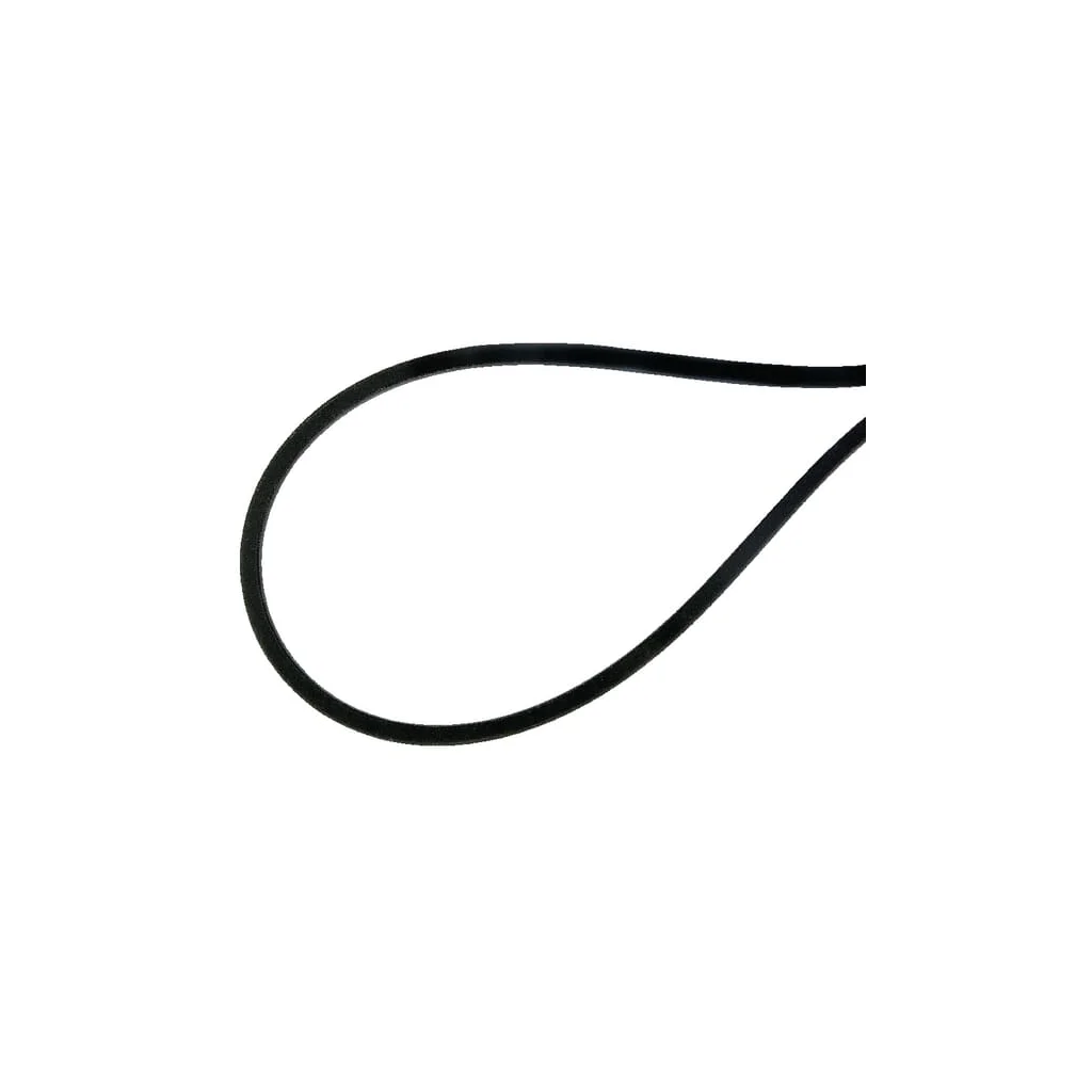 Curele de transmisie trapezoidală E04829ASM