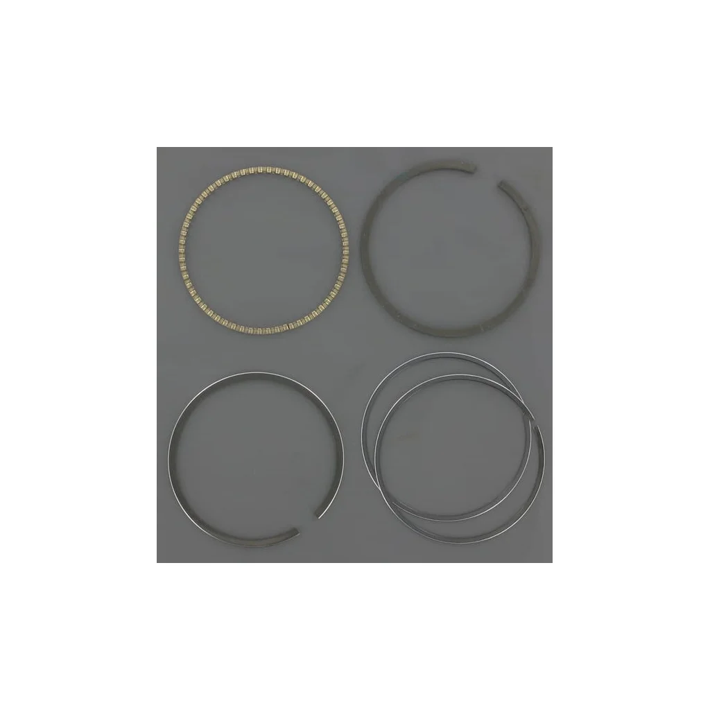 Set segmenti piston 0.5 ET18141