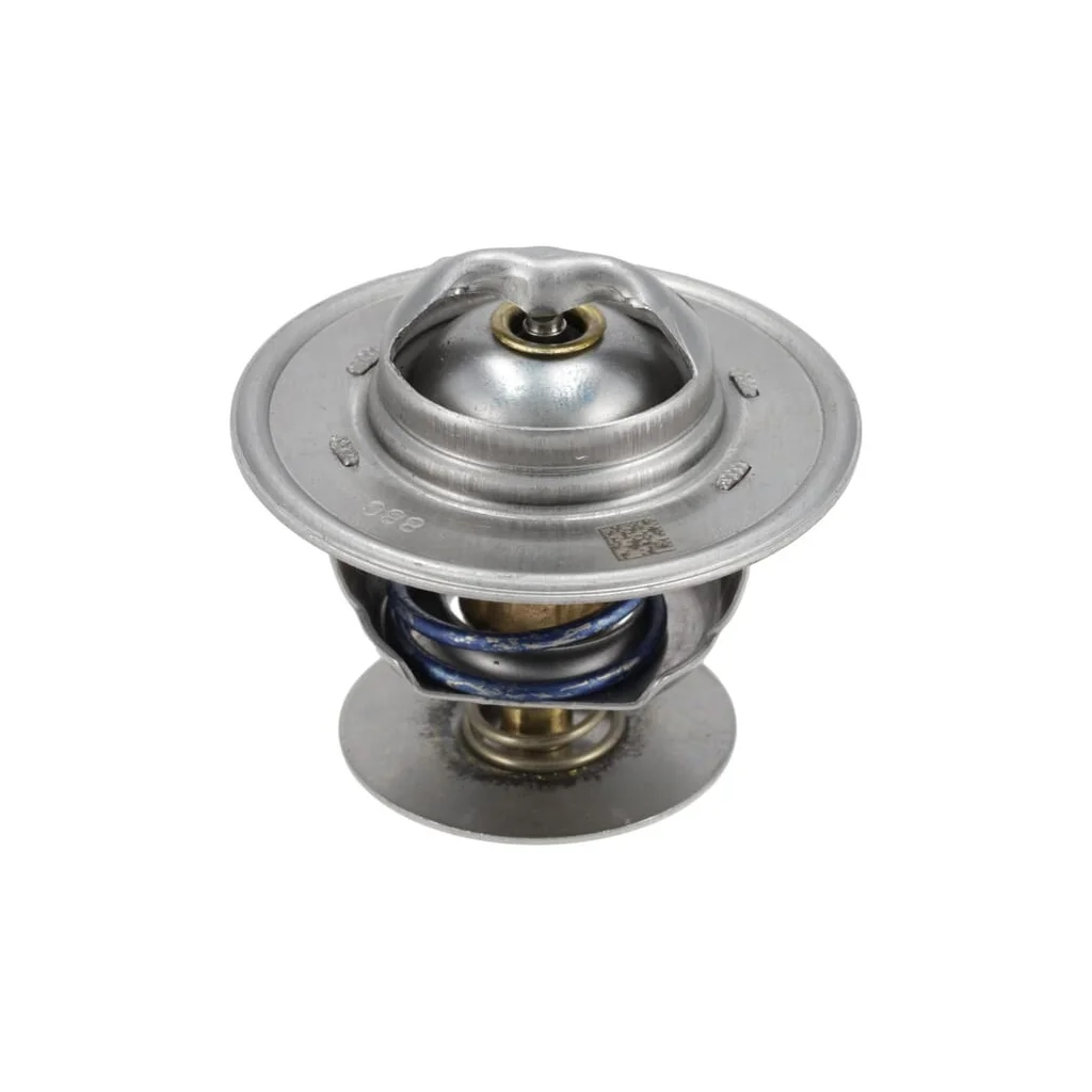 Termostat 1000364234