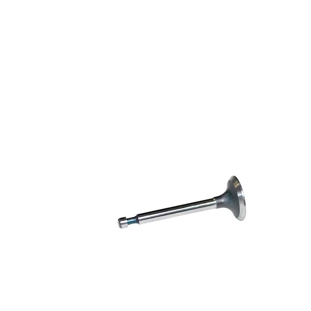 Supapă de admisie potrivită pentru Briggs &amp, Stratton 262247S FGP014354