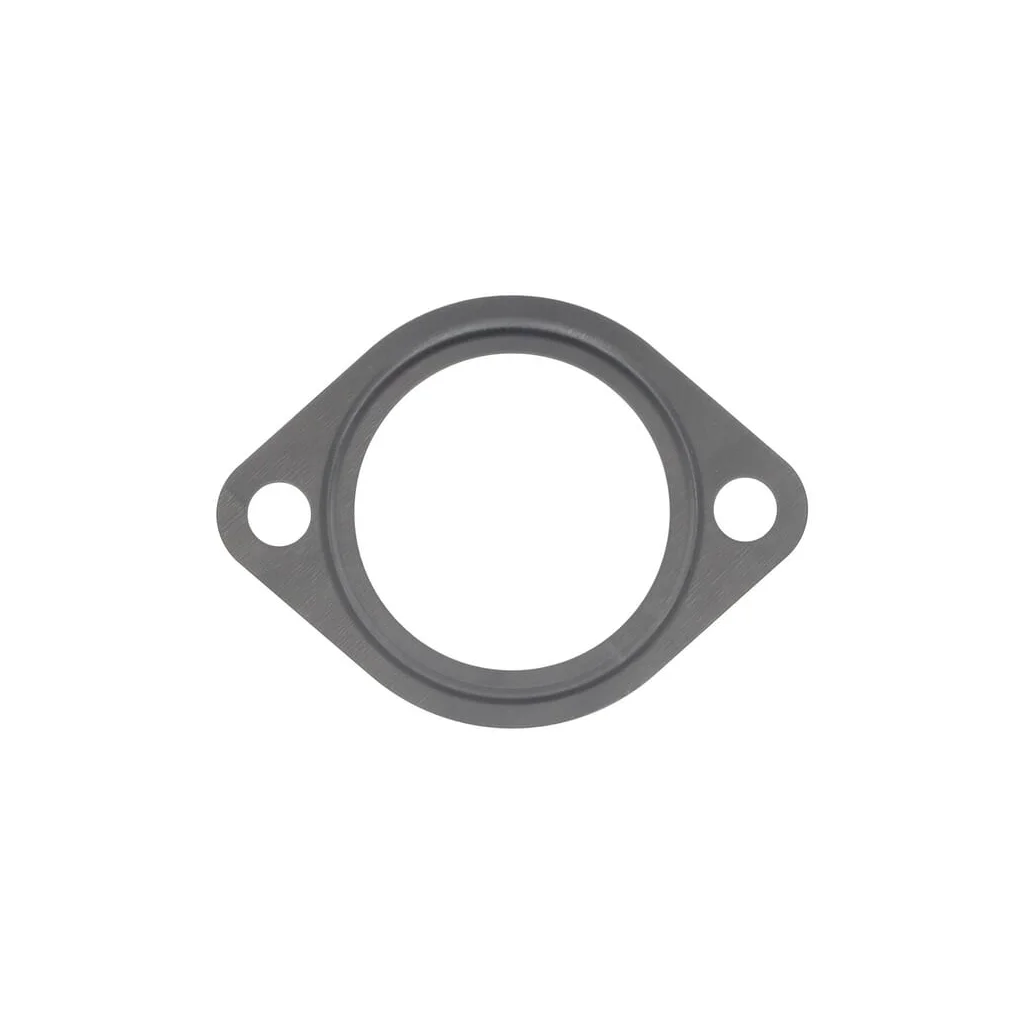 Garnitură termostat 1000004610