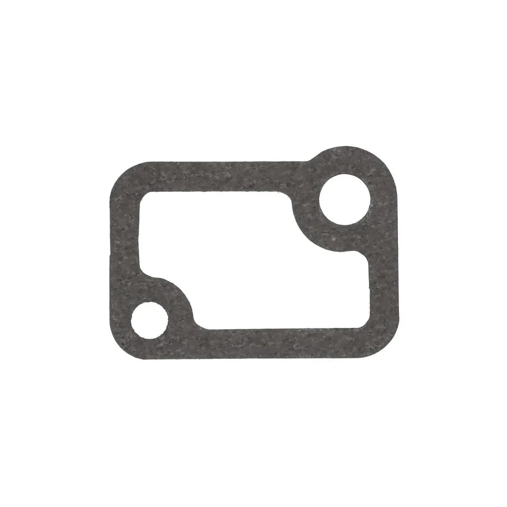 Garnitură termostat 1000088235