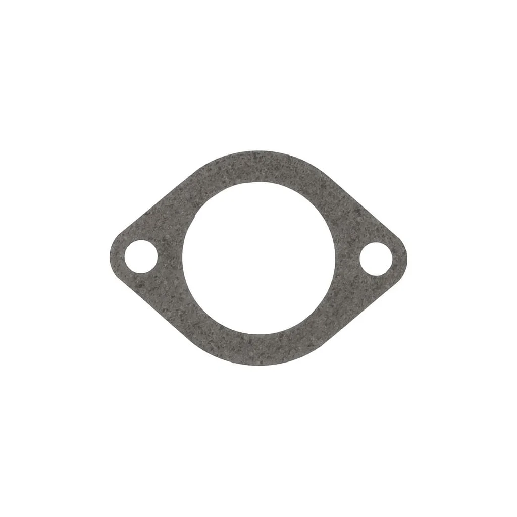 Garnitură termostat 1000088228