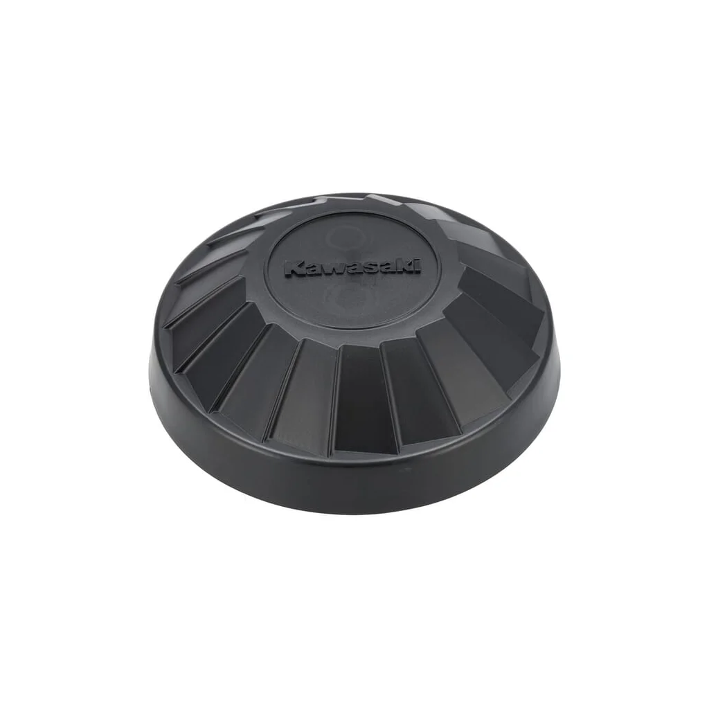 Capac de ploaie filtru de aer 110651384