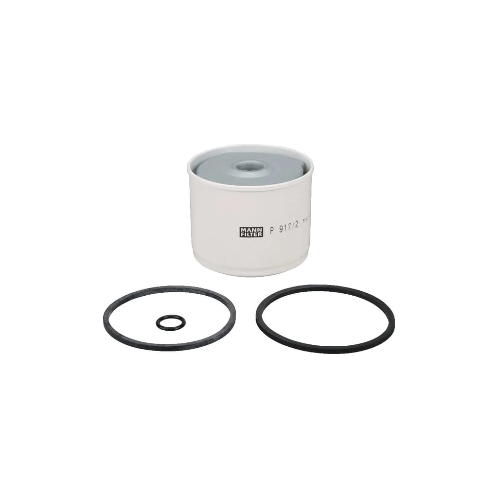 Element filtrant combustibil P9172X