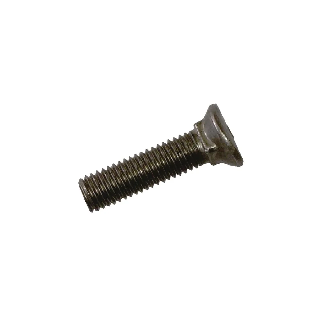 Șurub brăzdar M10x38 Rau RF01113