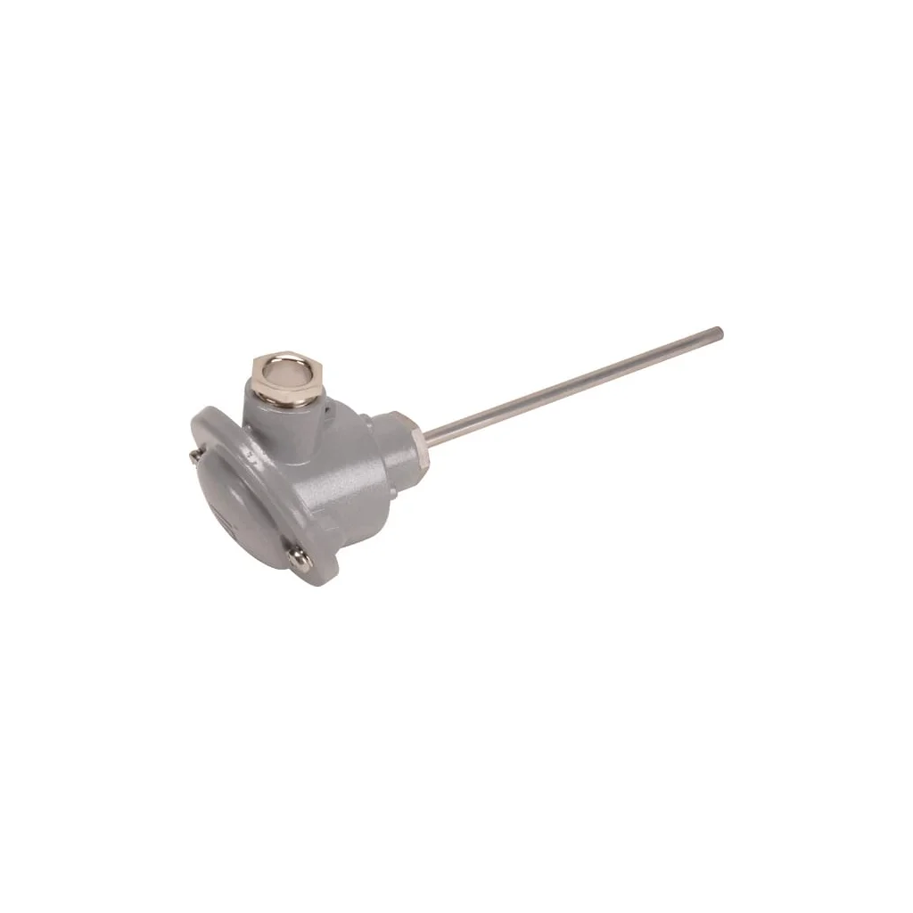 Senzor de temperatură, pasiv, PT100 300 mm TF54PT100300