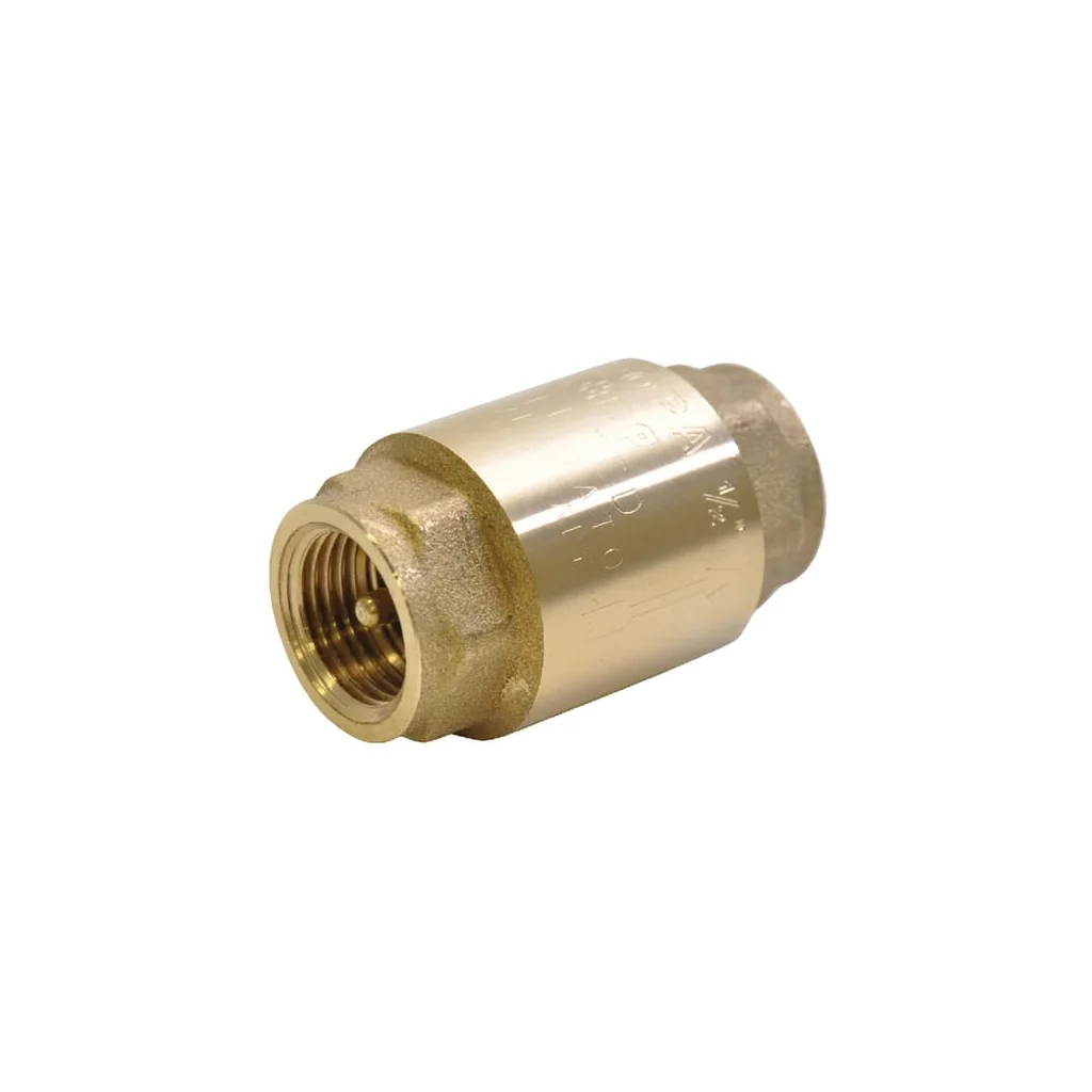 Ventil antiretur alamă 2" WK51106