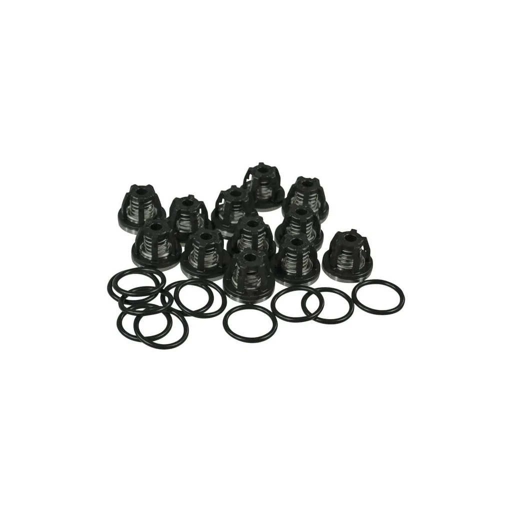 Set de ventil AR250/280 ZF062