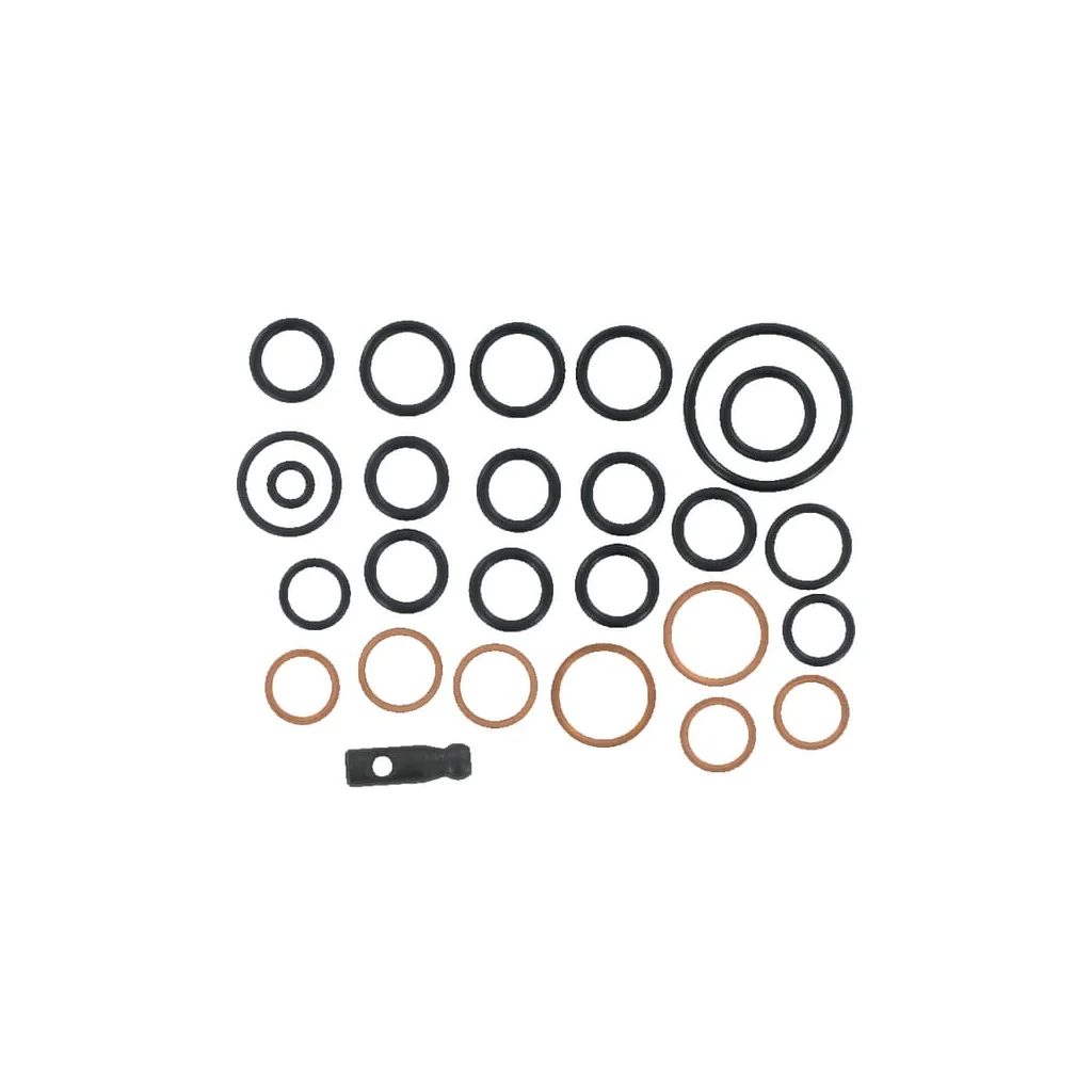 Set de garnituri pentru GV 100 EZ2180