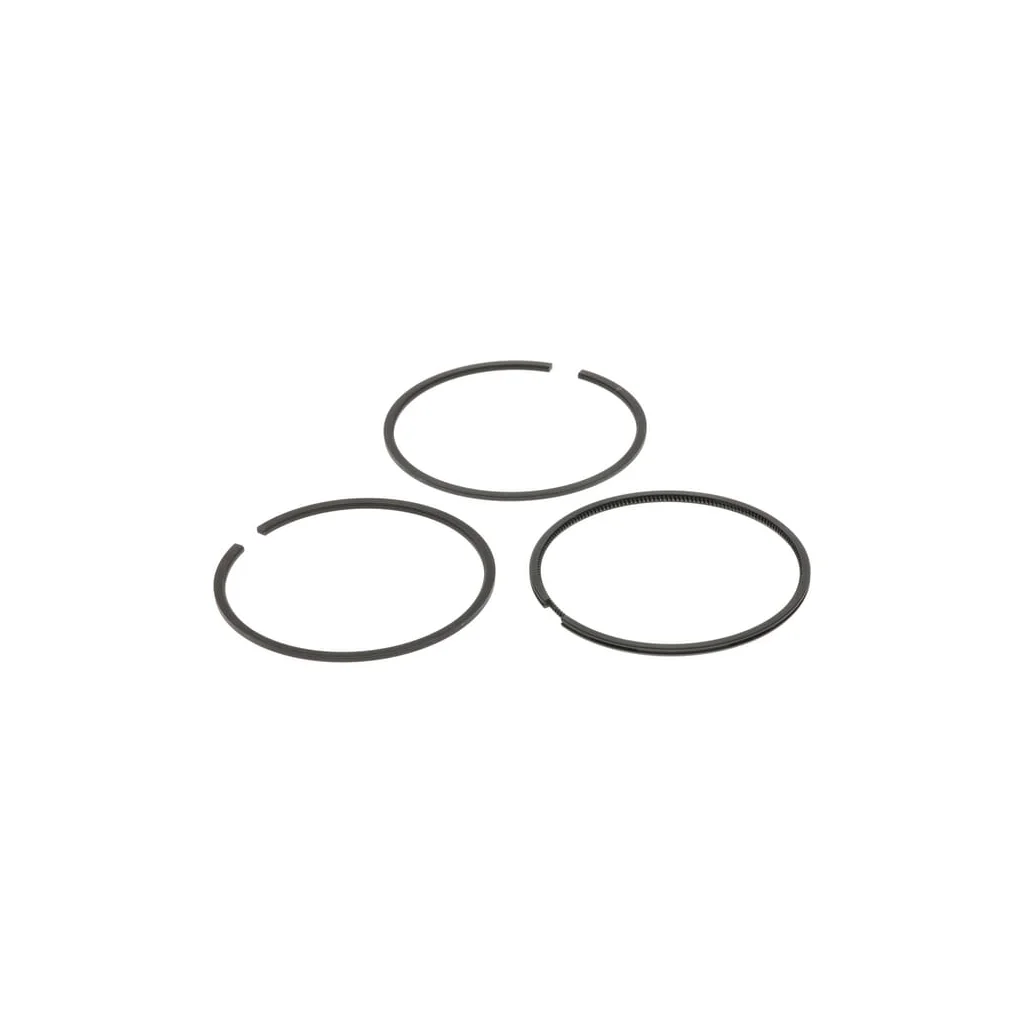 Set segmenți de piston, (0,25)(TPR) 13011Z5H004