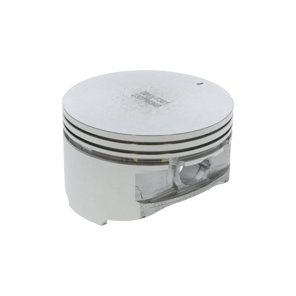 Piston 1300303110001