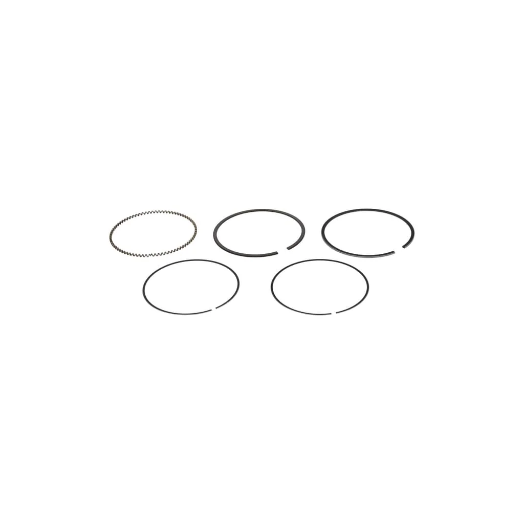Set segmenti, piston (0.25) 13011Z5K004