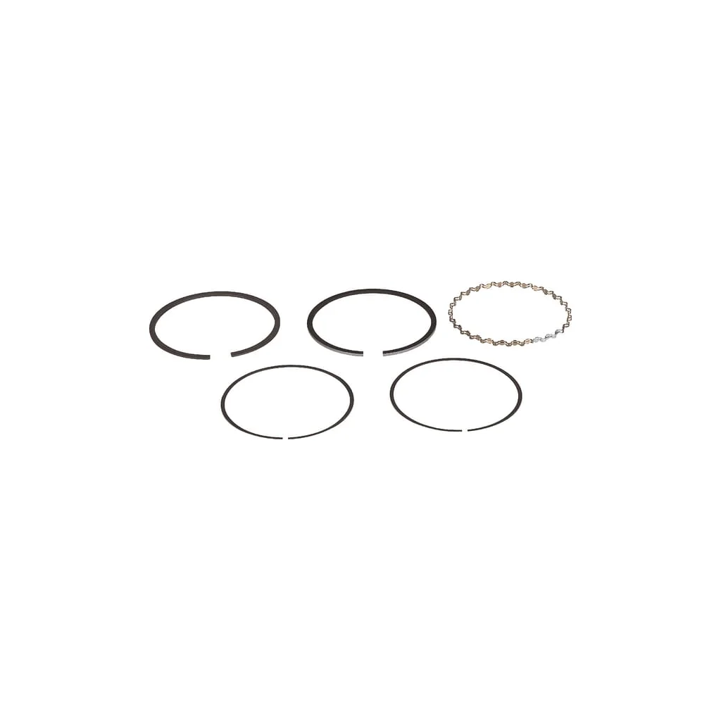 Set segmenți piston 0,25 13011YA1003