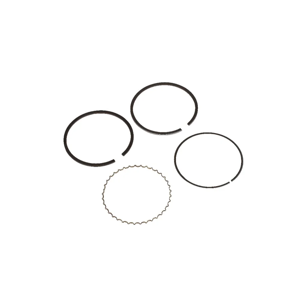 Set segmenți piston standard 13010ZJ1841