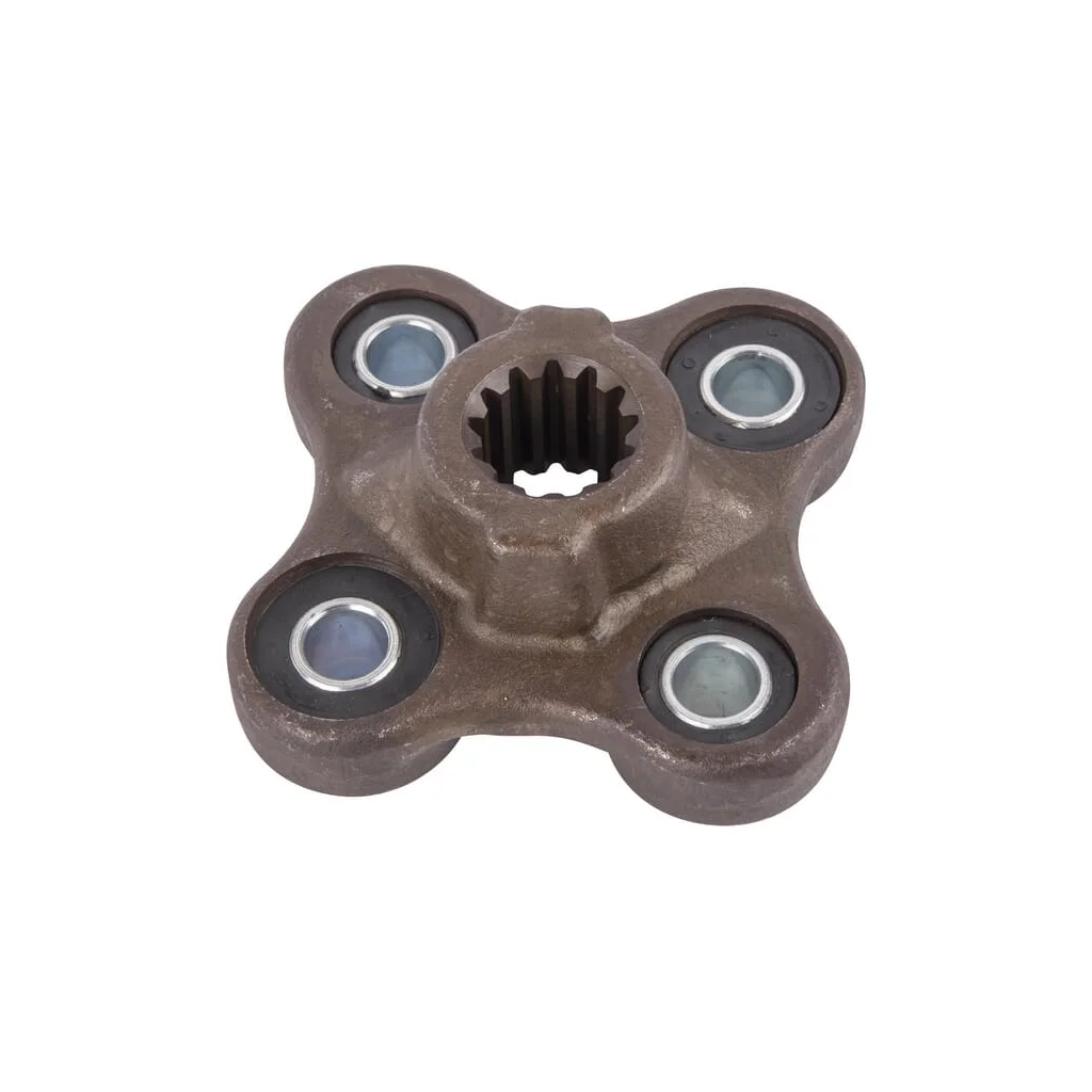 Cuplaj flexibil 131693A1