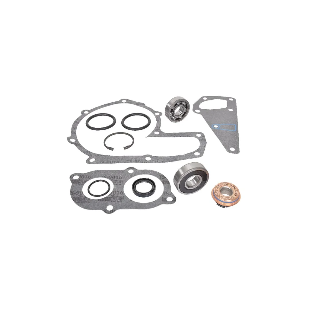 Set reparație pompă apă Case IH 162000060751