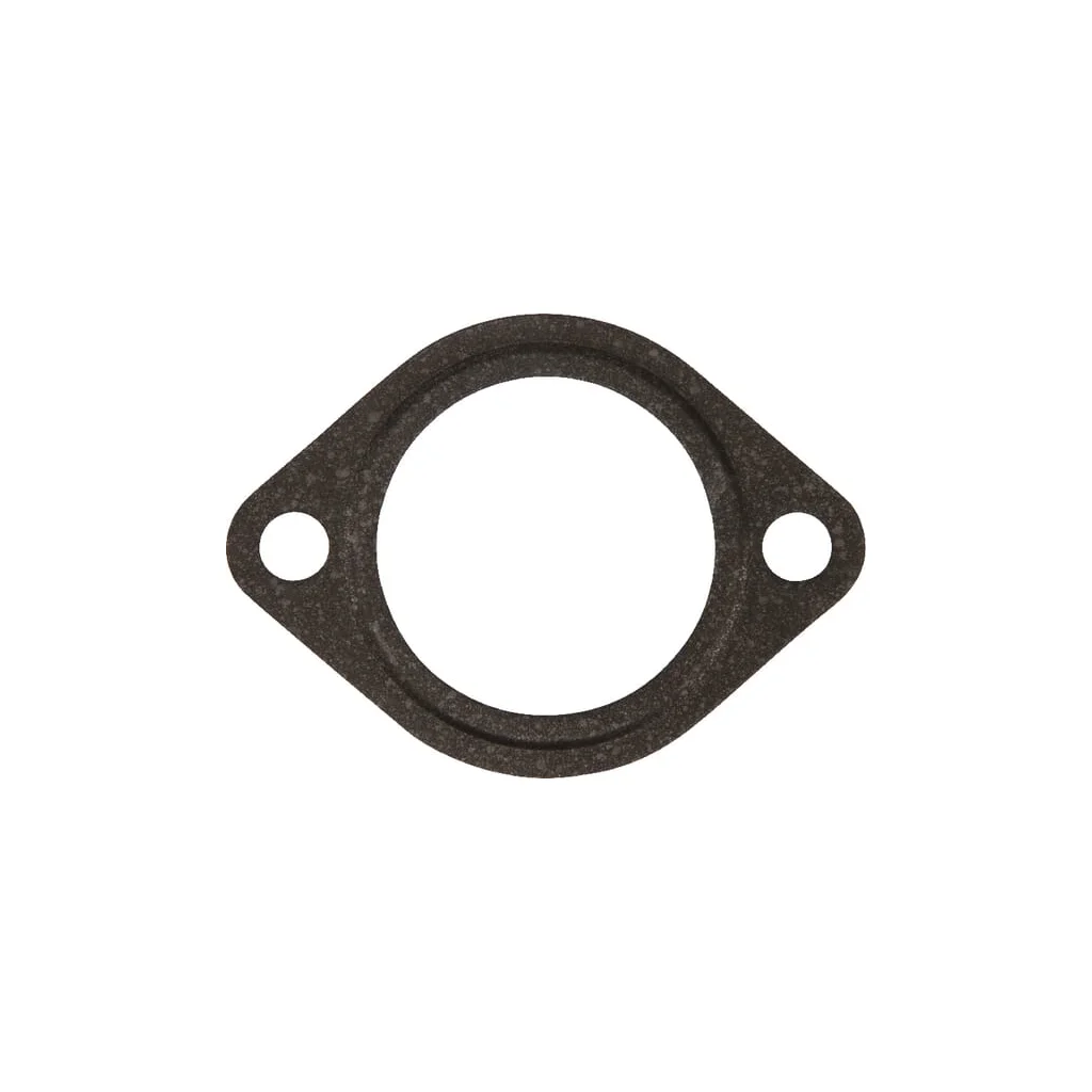 Garnitură termostat, D722 1685173270