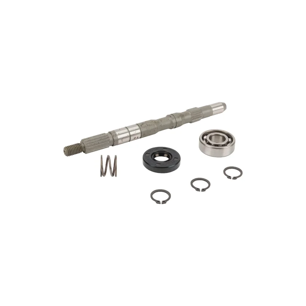 Ax pompă/Set rulment 1A632099200