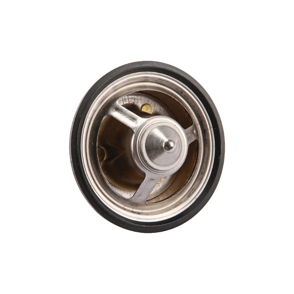 Termostat 0011738580