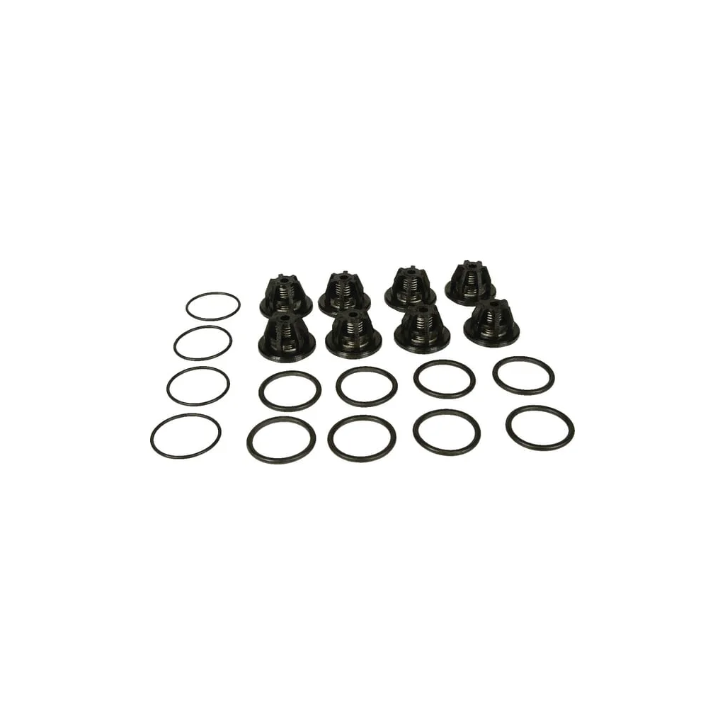 Set supape Bertolini 289884973