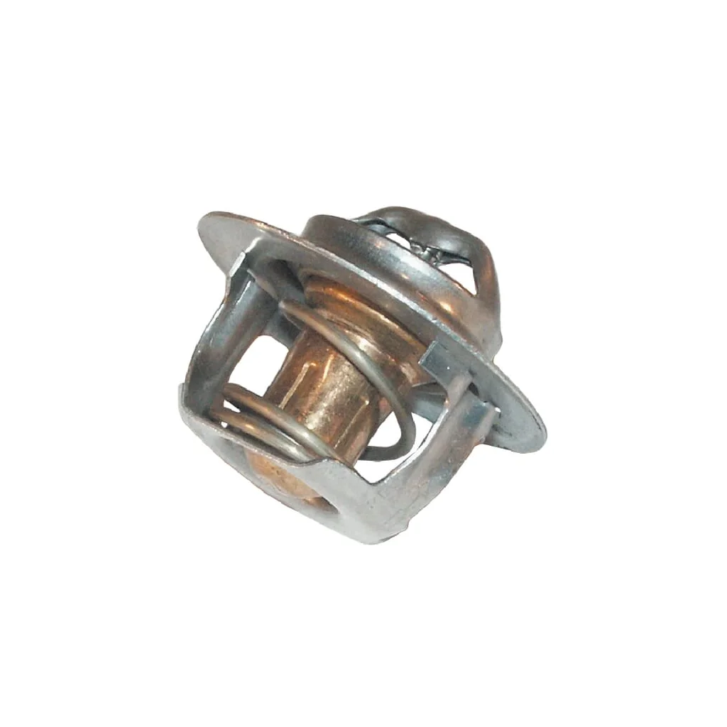 Termostat 0011393110