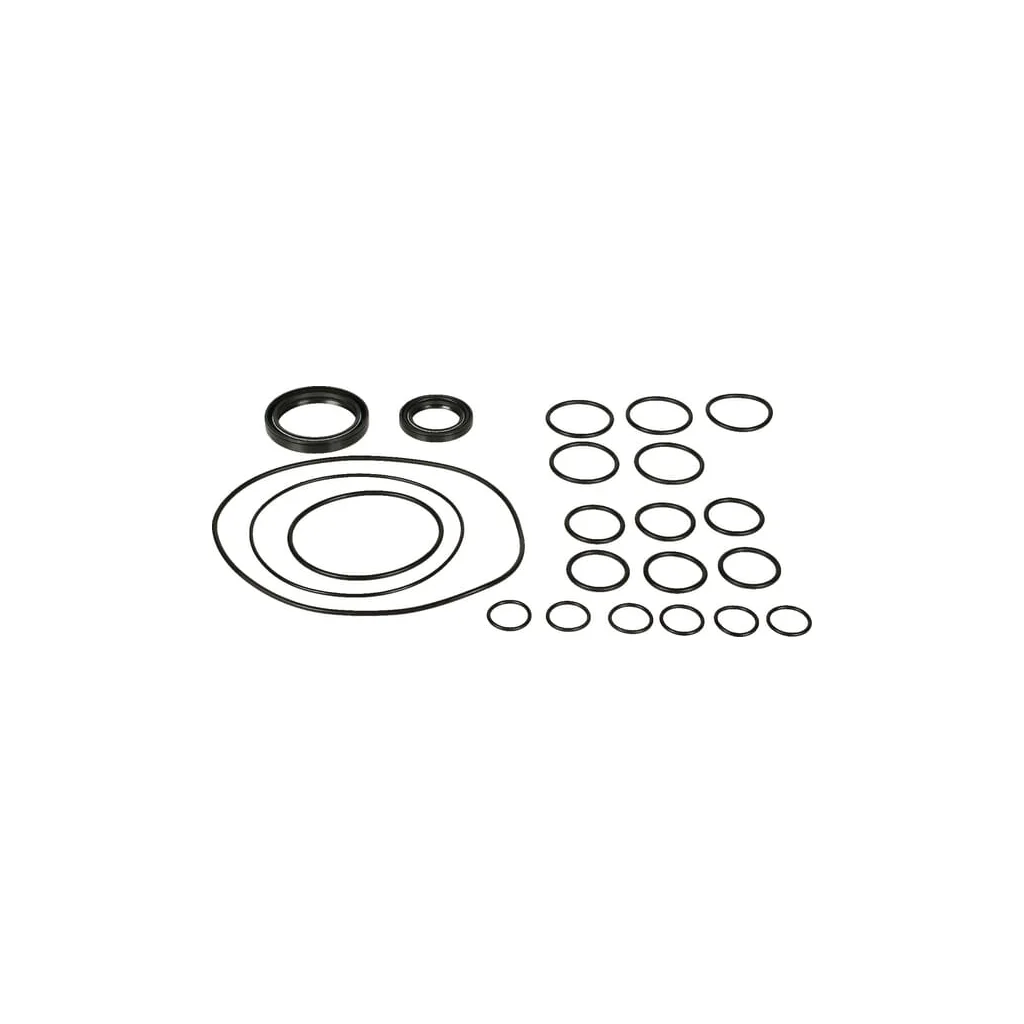 Set piese de rezervă pompă Bertolini 359880973