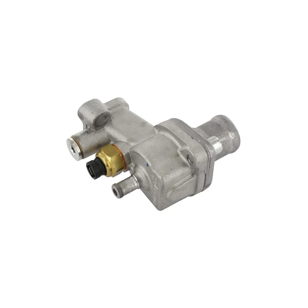 Termostat Lombardini 4896208