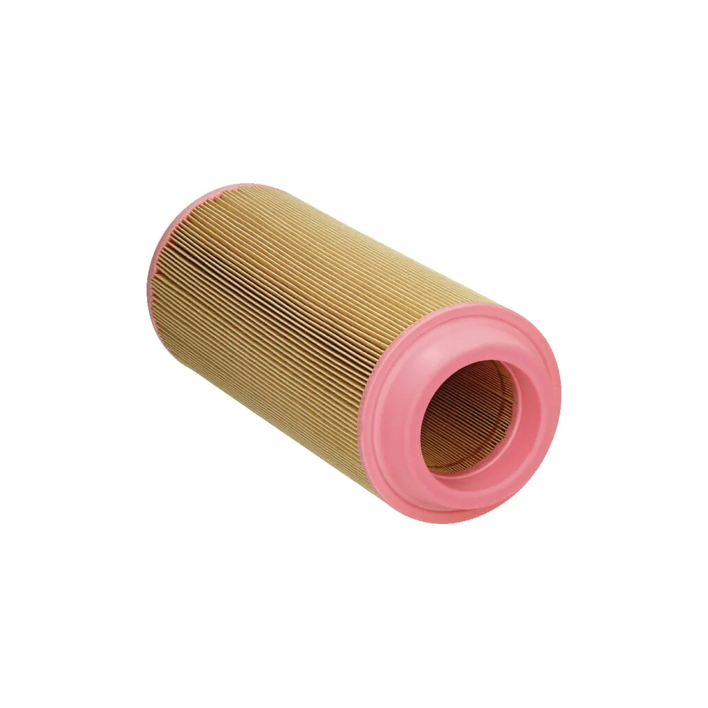 Filtru aer exterior 50011903