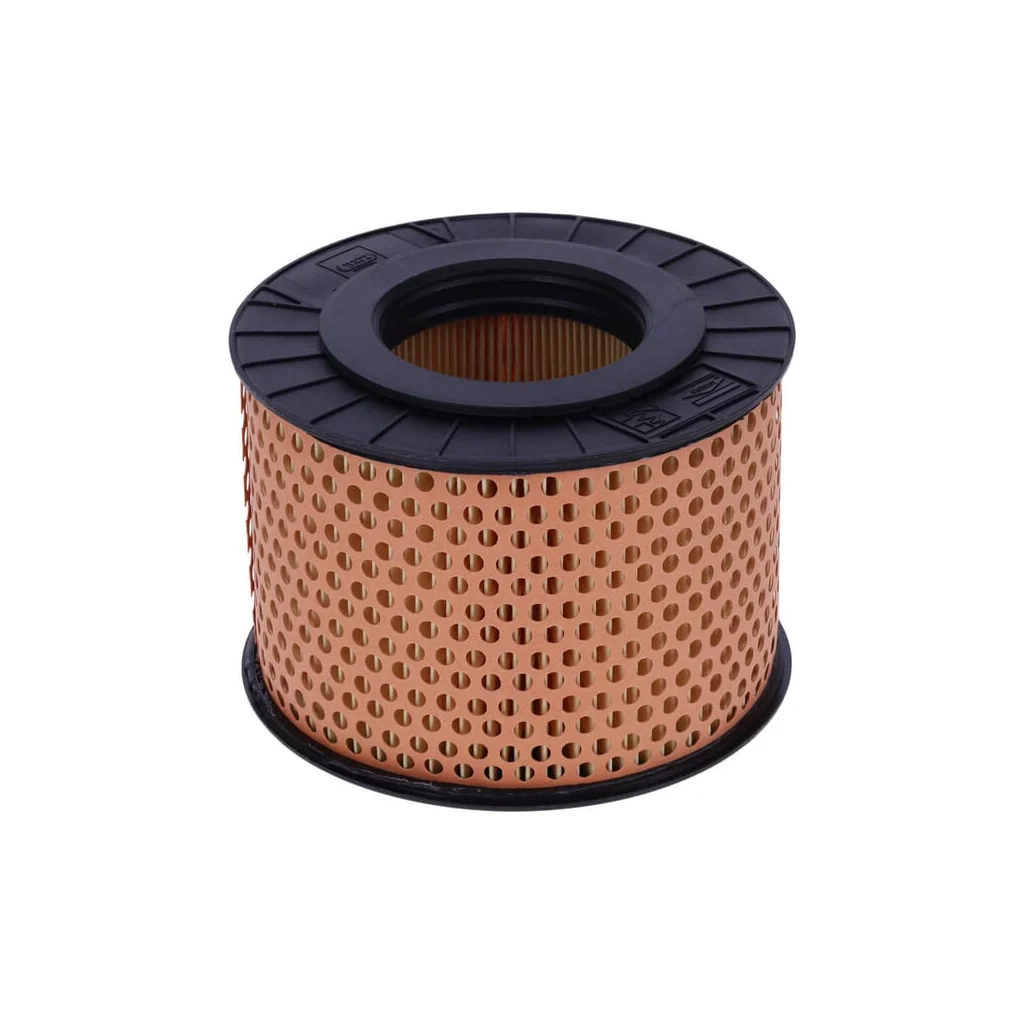 Filtru combustibil 5000108903