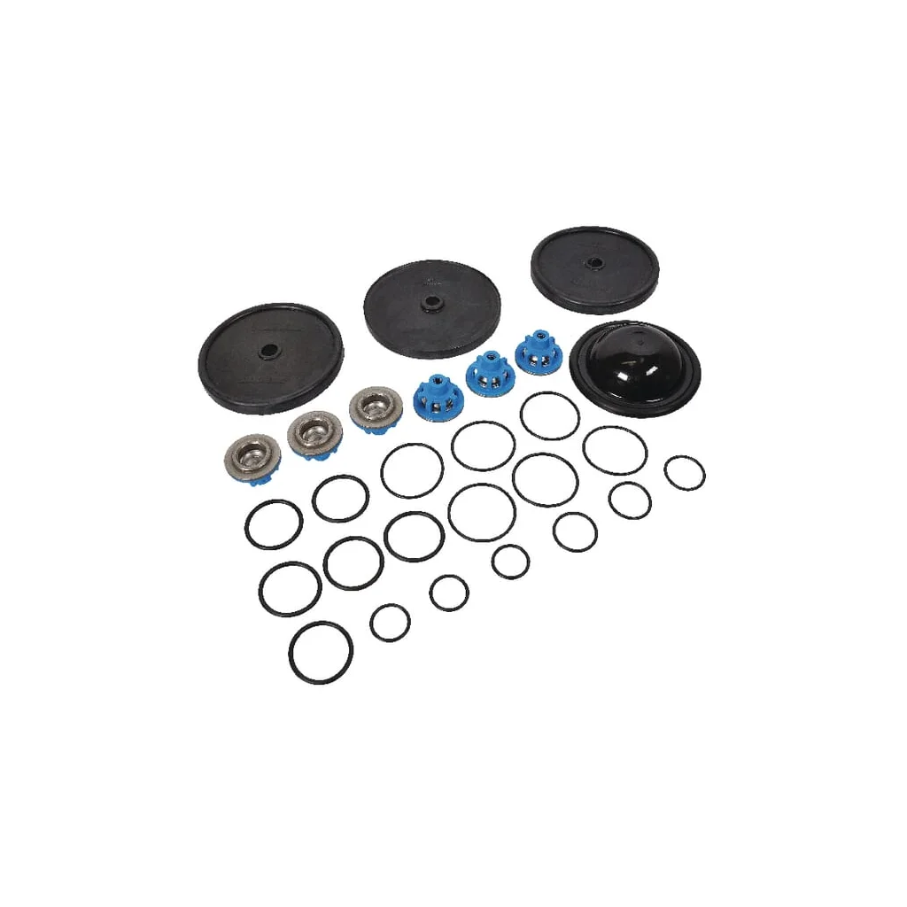 Set de revizie APS 101/121 Comet 50260089