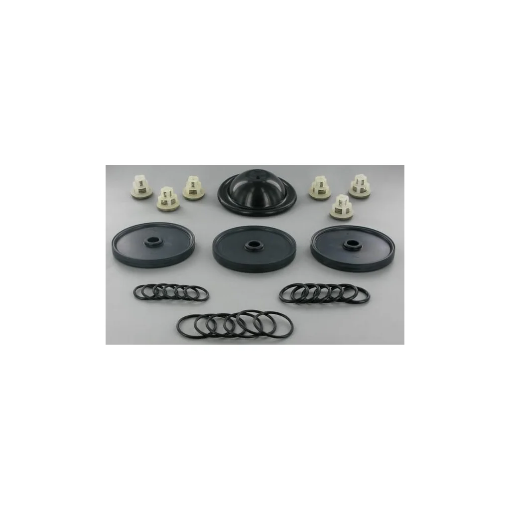 Set de revizie APS 61/71 Comet 50260085