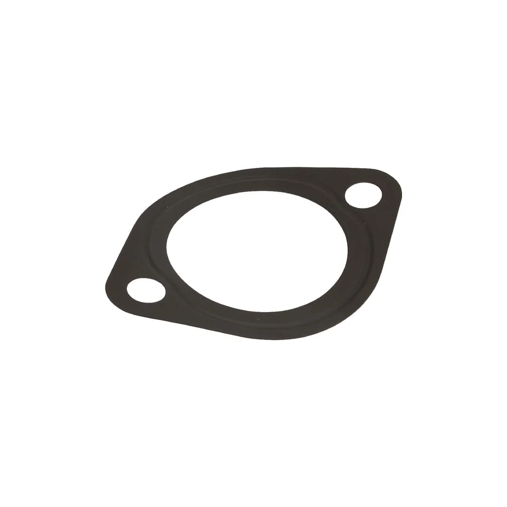 Garnitură termostat 5411666065