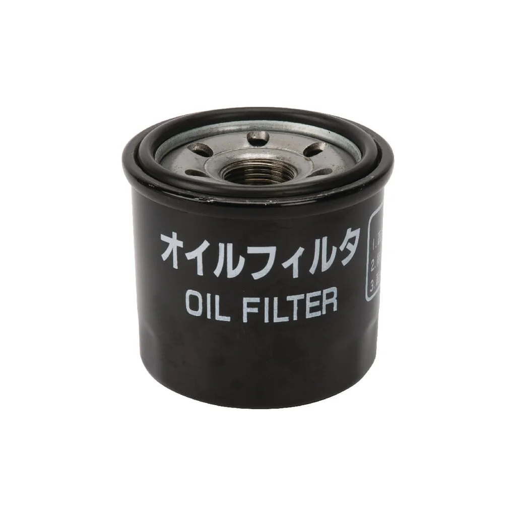 Filtru 6000105531