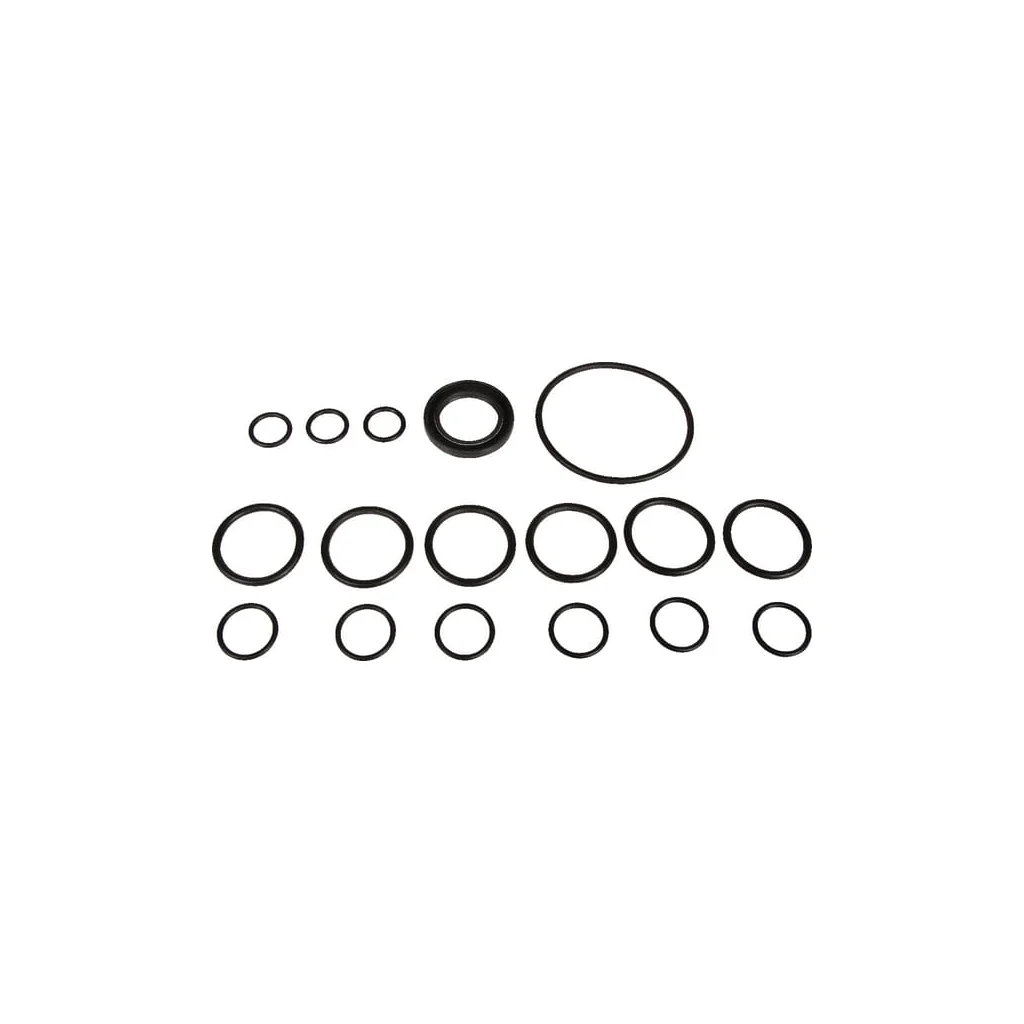 Set piese de rezervă pompă Bertolini 629803973