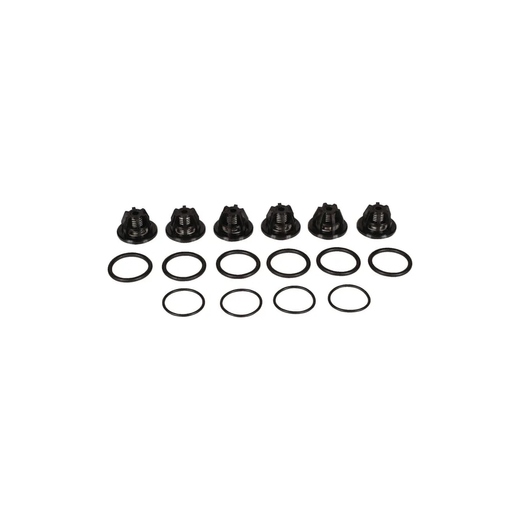 Set supape Bertolini 639870973