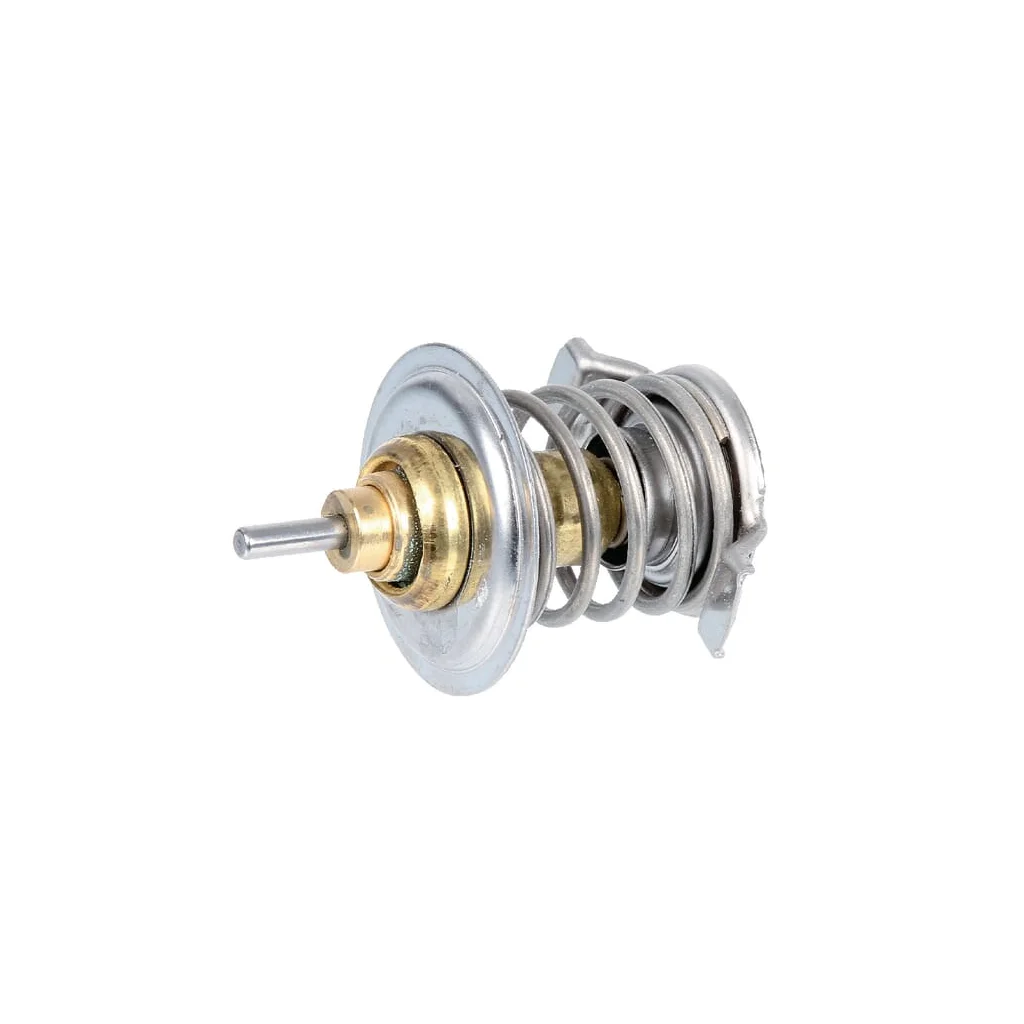 Termostat 04198786
