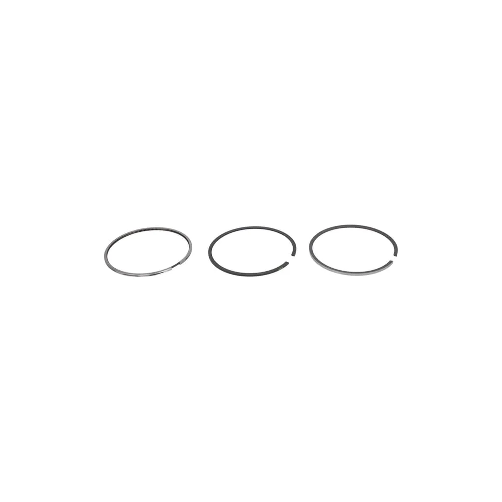 Set inele piston 04251766