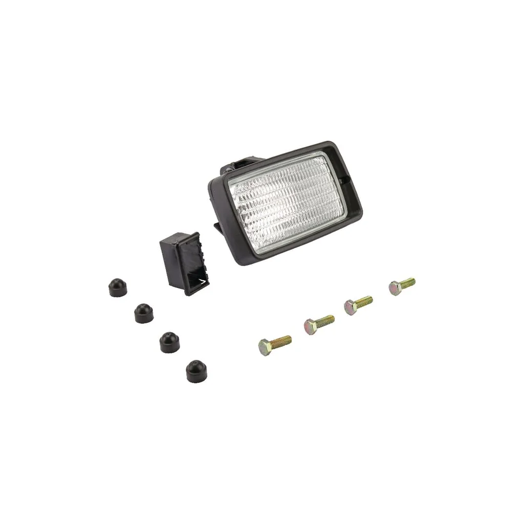 Lumină de lucru 7701456998