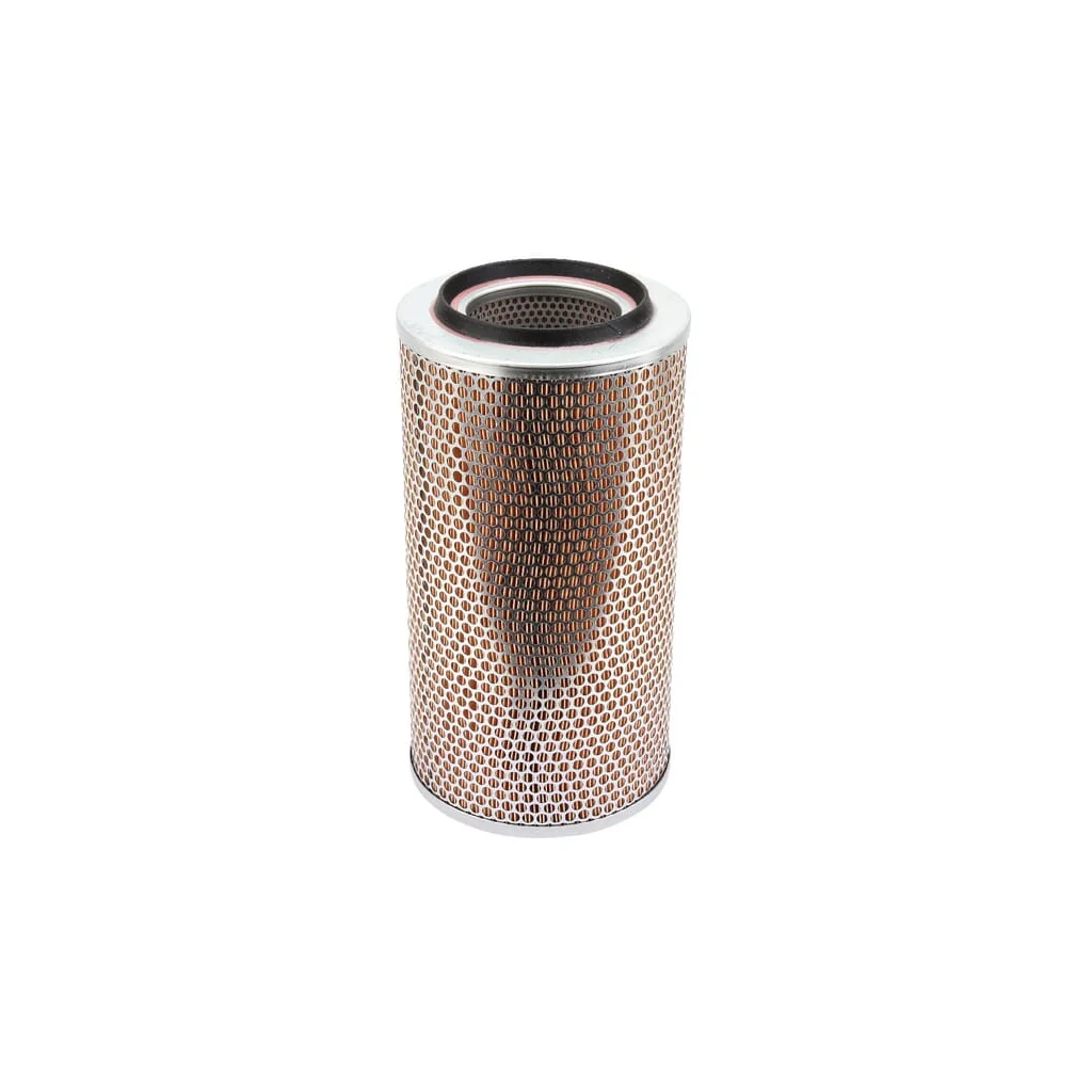 Filtru de aer 02165049