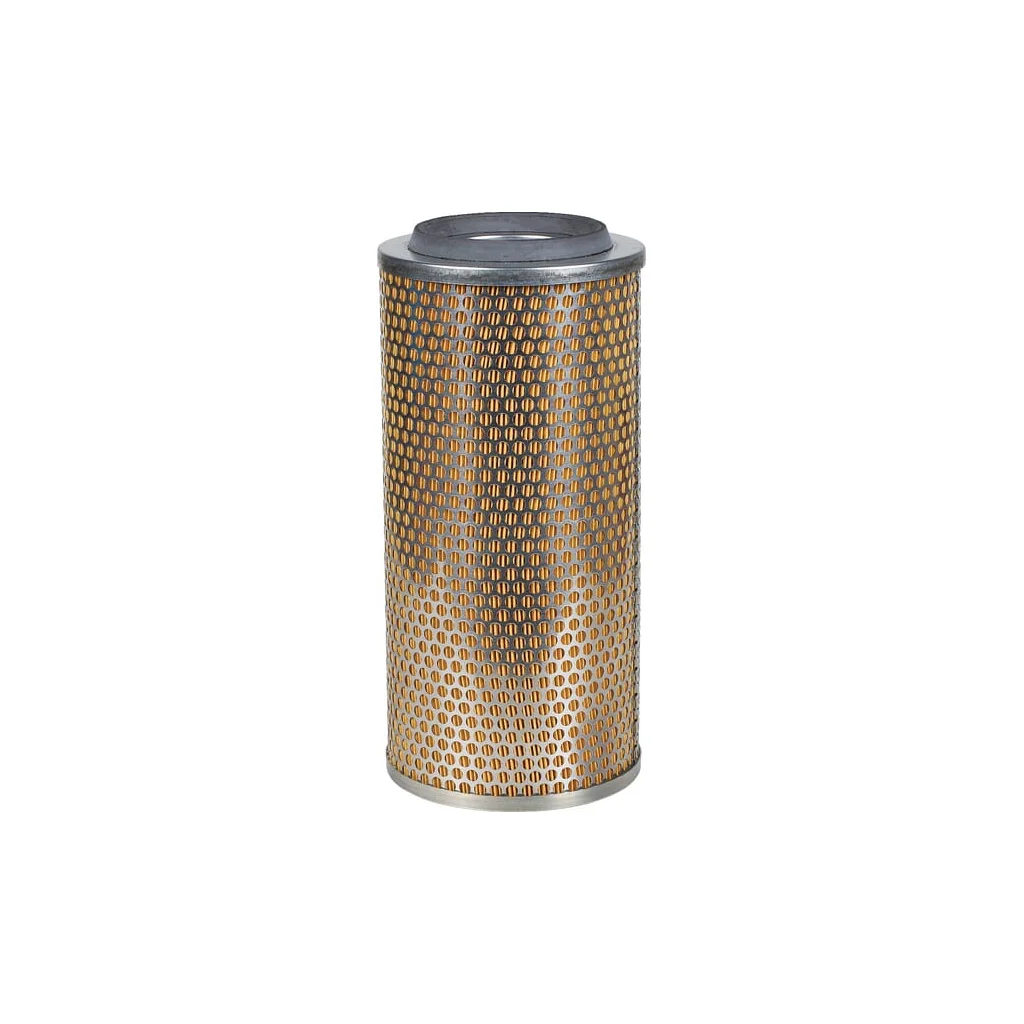 Filtru aer exterior 02165044