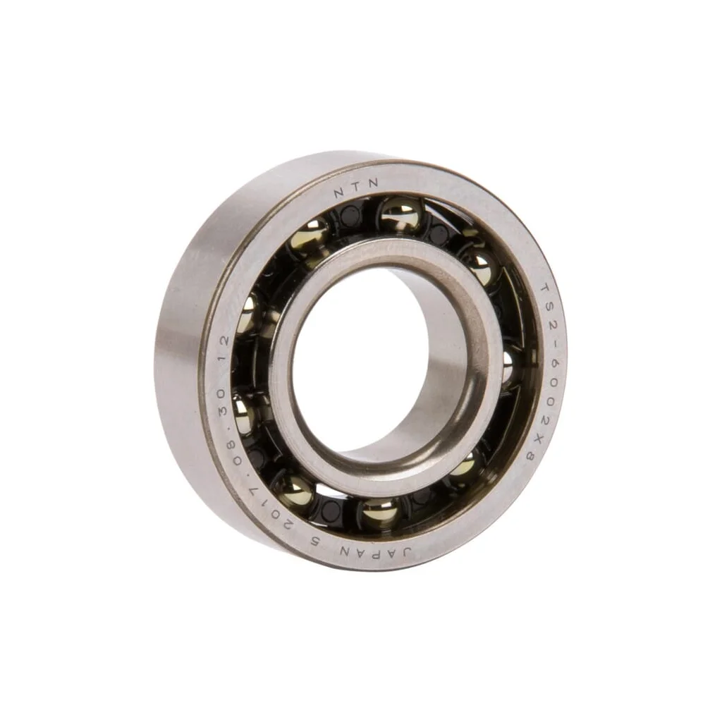 Rulment 95030030310