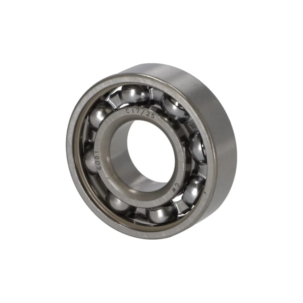 Rulment 95030030215