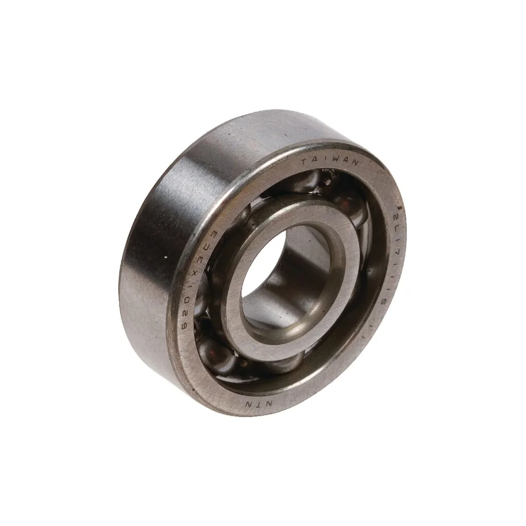 Rulment 95030030242